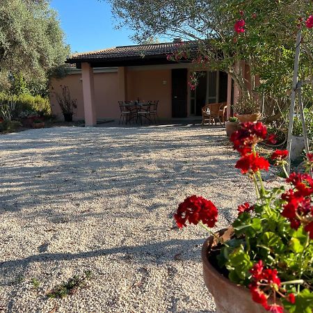 Casa Rosmarino Villa San Giovanni  Eksteriør billede