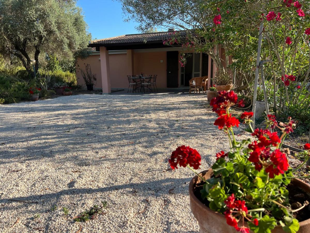Casa Rosmarino Villa San Giovanni  Eksteriør billede