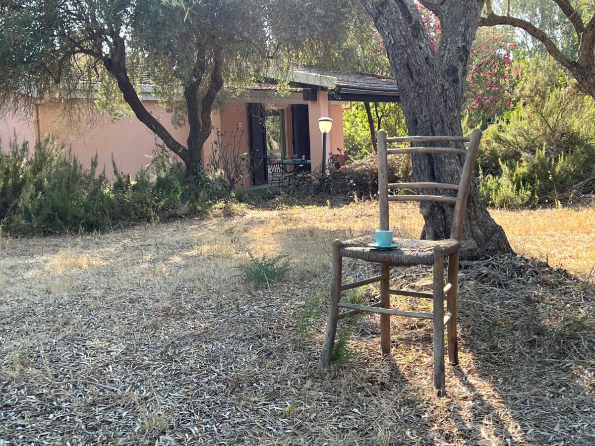 Casa Rosmarino Villa San Giovanni  Eksteriør billede